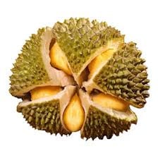 A whole durian fruit with a thick, spiky shell.