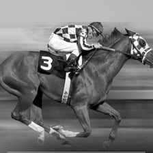 A young male racehorse competing on a racetrack.