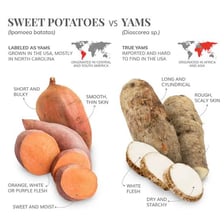 Sweet potatoes and yams shown side by side for comparison.