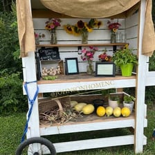 Fresh produce displayed at an outdoor farm stand