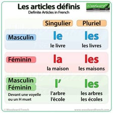 An educational comparison of English and French definite articles.