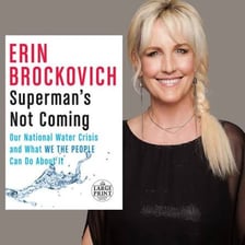 Erin Brockovich, the environmental activist and legal advocate.