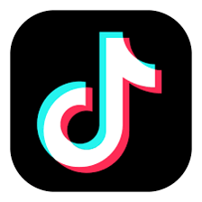 The TikTok logo displayed on a smartphone screen
