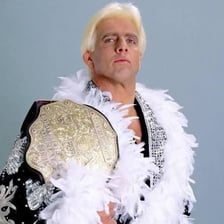 Ric Flair in his professional wrestling persona