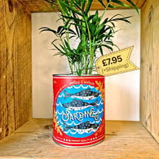 A metal tin of sardines