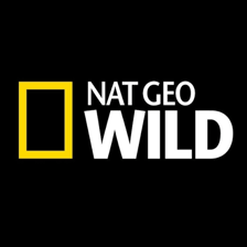 The branding for the Nat Geo Wild television channel.