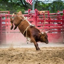 A cowboy riding a bucking bull in a rodeo arena
