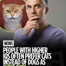 A person interacting with a cat while a dog is nearby.