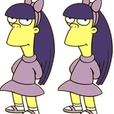The twin characters Terri and Sherri from The Simpsons