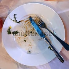 An empty plate showing that a meal has been eaten