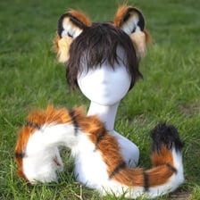 A furry fandom character featuring animal ears and a fluffy tail