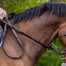 A rider holding a rein attached to a horse’s bridle.