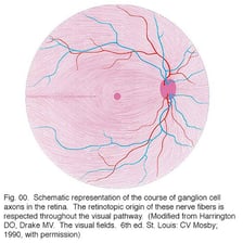 A simple diagram highlighting an outer or peripheral region.