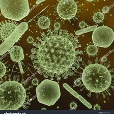 Microscopic germs shown as bacteria-like organisms.