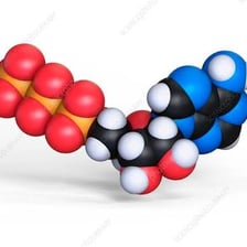 An illustration of an ATP molecule