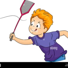 A person trying to swat a flying housefly