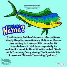 An educational illustration showing the repeated form of a Hawaiian word