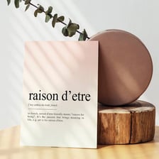 A French-language reference showing the phrase raison d’être.