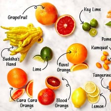 An orange and a lime showing contrasting citrus colors.