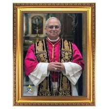 A portrait of Pope Leo XIV.
