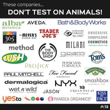 A PETA campaign image promotes products not tested on animals.