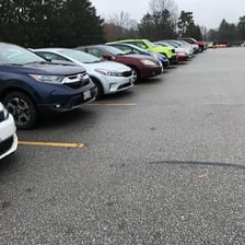 Cars are parked in a paved parking lot.
