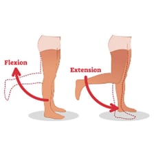 An educational illustration showing knee flexion during ACL rehabilitation.