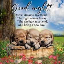 Friends saying goodbye at night