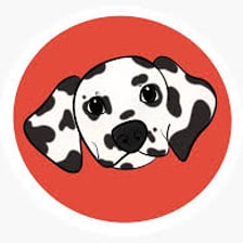 A spotted Dalmatian dog.