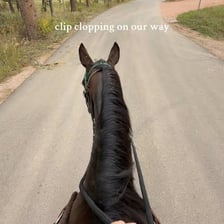 A horse walking, with its hooves striking a paved surface.