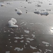 White sea foam gathered along a beach