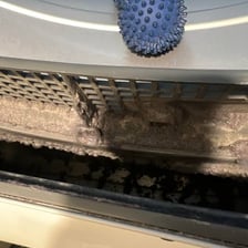 A clothes-dryer lint screen holding a layer of lint.