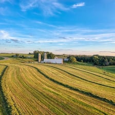 A broad open field viewed from above