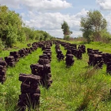 A peat bog and blocks of harvested peat