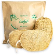 A natural loofah gourd and a dried loofah sponge used for bathing.