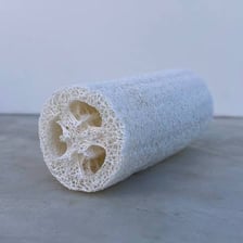 A natural loofah sponge used for bathing.