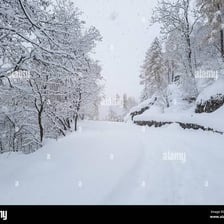 A landscape covered in snow during a snowfall.