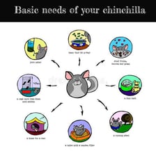 A simple arrangement of essential everyday necessities.