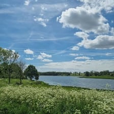 A calm countryside landscape on a bright, peaceful day.