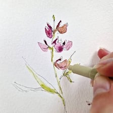 A flower blooming later than the surrounding flowers