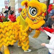 Performers operating a colorful lion costume during a Lunar New Year lion dance