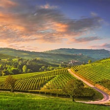 A view of Asti, Italy, surrounded by vineyard country.