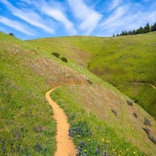 A winding trail that follows an indirect route through a meadow.