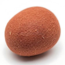 A chicken egg with its hard shell clearly visible.