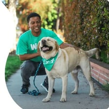A person caring for a friend’s dog at home