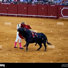 A crowd cheering during a Spanish bullfighting performance