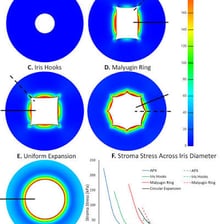 A simple sequence showing a small circular view expanding until the whole frame is visible.