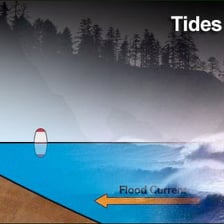 Coastal shoreline showing the effect of a changing tide