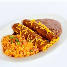 A plate of sauced enchiladas.