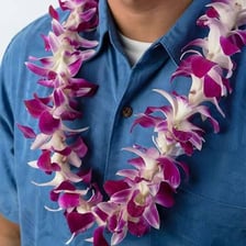A person wearing a colorful Hawaiian flower lei
